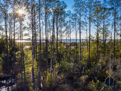 1690 Cultivation Ln #543, Mount Pleasant, SC, 29466