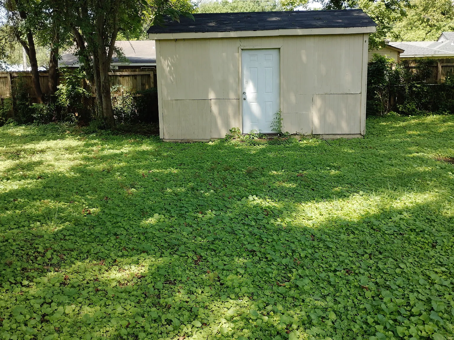 3 bed, 1165 sqft, $1,100 — Photo 3