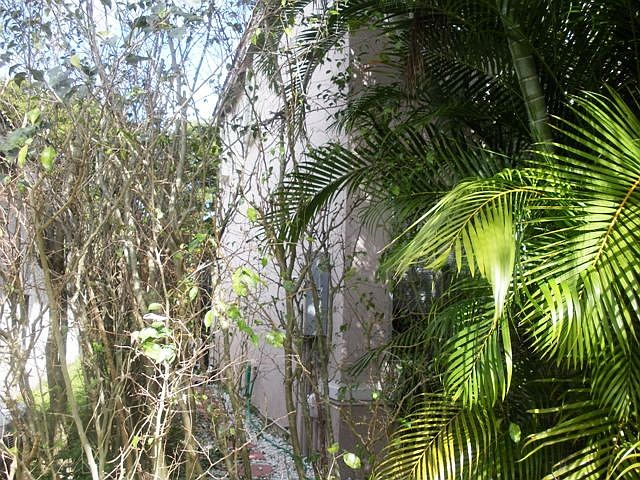 1st image of 1053 Tupelo Way