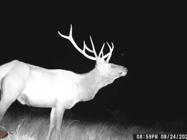 0 County Rd, Trinidad, CO 81082