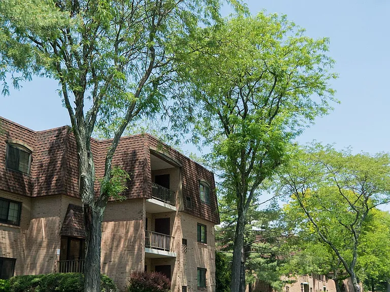 La Maison Apartments — Photo 20