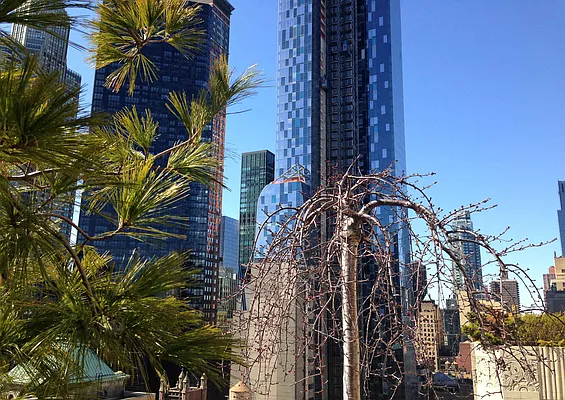 Rented by Vivaldi Real Estate | media 20