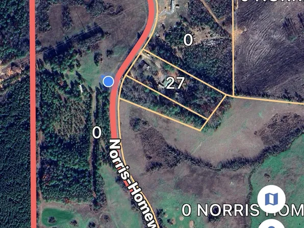 1 Norris Homewood Rd, Forest, MS 39074