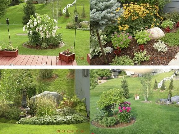 TONS of professional landscaping in front and back yard