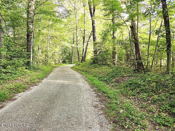 0 Laurel Dale Cemetery Rd, Rugby, TN 37733