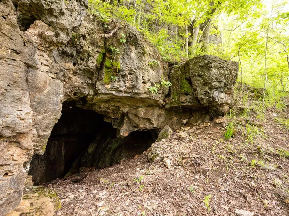 0000 County Road 3810, West Plains, MO 65775