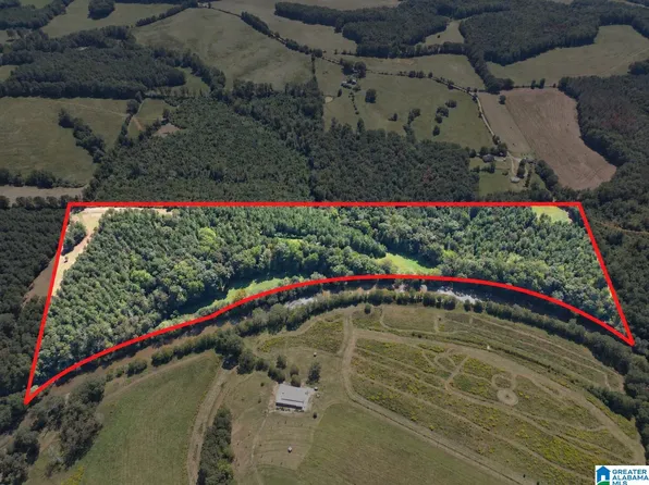 40/ACRE County Road 457, Woodland, AL 36280