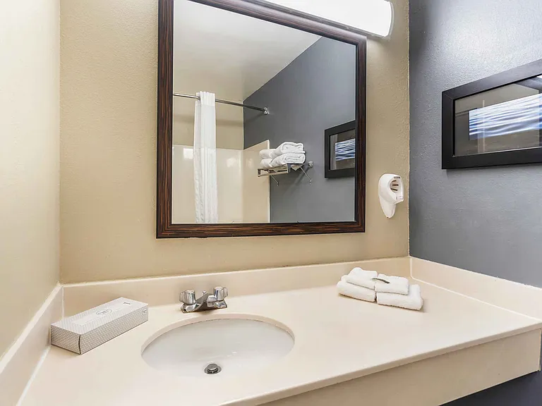 Studio Suite - 2 Full Beds