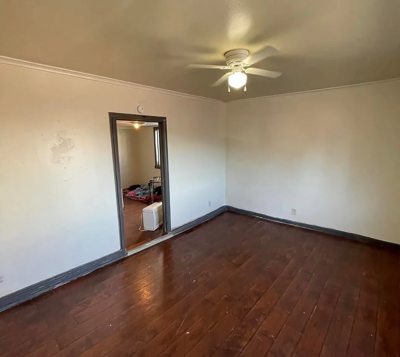 1 bed, $650 — Photo 2