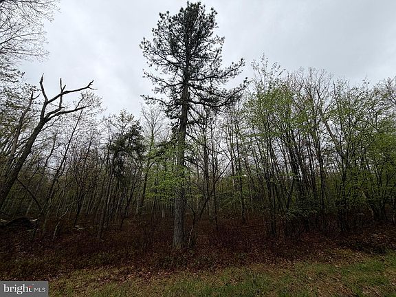 4th image of 570 Haystack Dr