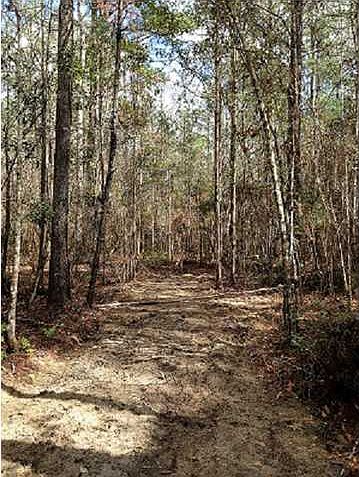1st image of 333 Crawfish Cabin St
