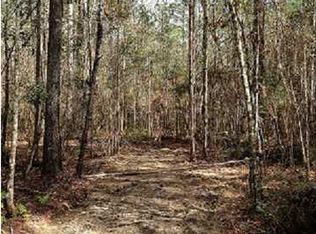 333 Crawfish Cabin St, Wewahitchka, FL 32465