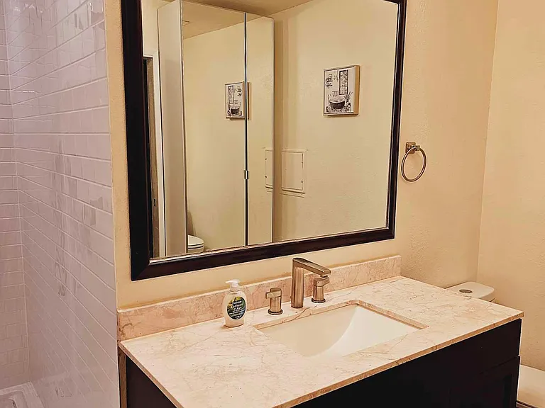 Master bathroom. Brand new vanity, mirror, fixtures