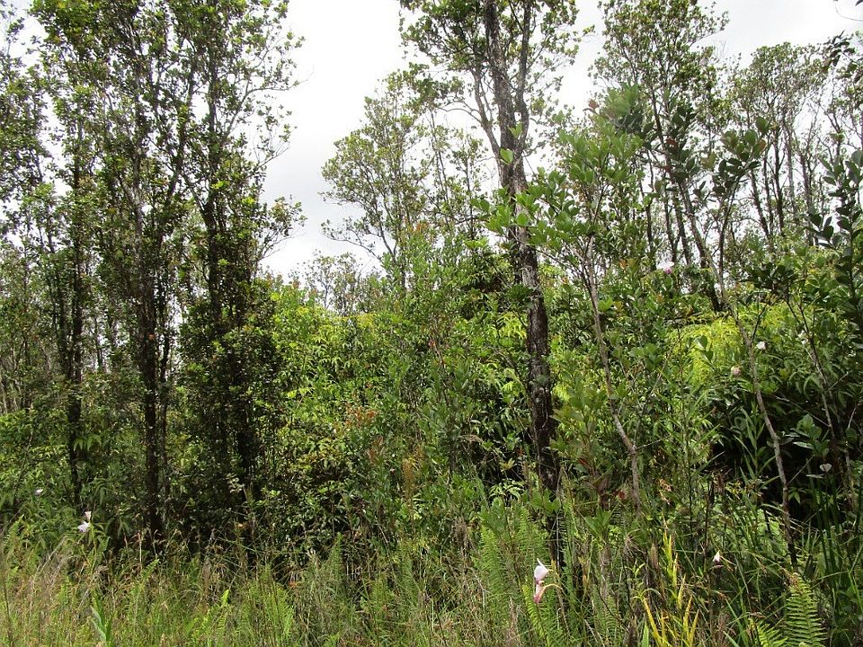 2nd image of Apuakehau Rd Lot 84