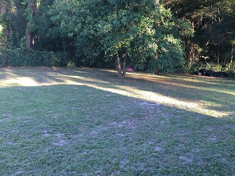 back yard