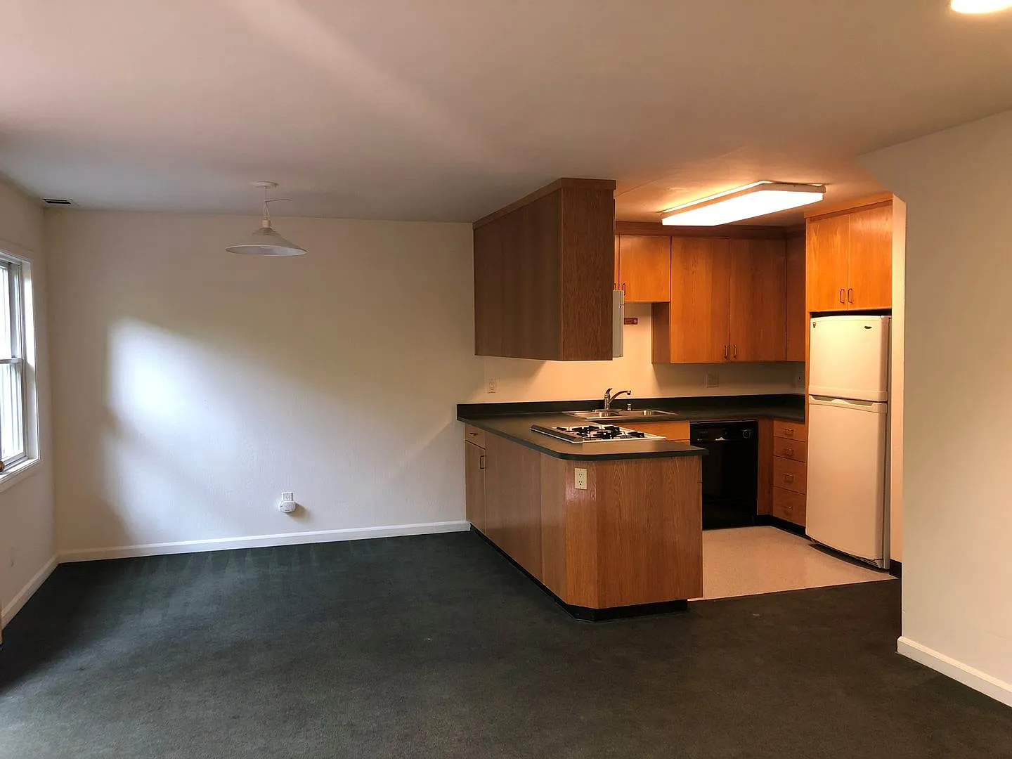 Reduced Security Deposit Cottage Style 5 Bedroom Apartment 3 1/2 Blocks From Campus — Photo 3