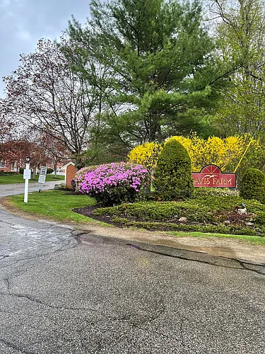 142 Katie Ln Photo 1
