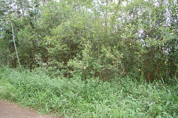 2nd image of Railrd Rd Lot 10