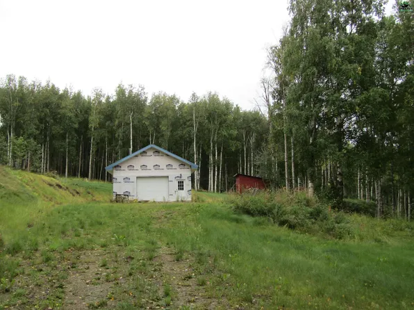 13290 Noorvik Rd, Delta Junction, AK 99737
