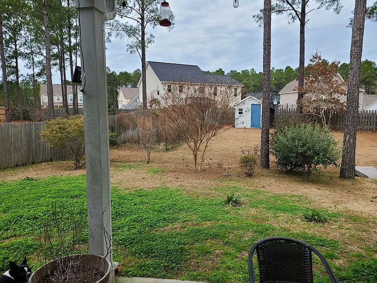 183 Pamlico Dr — Photo 30