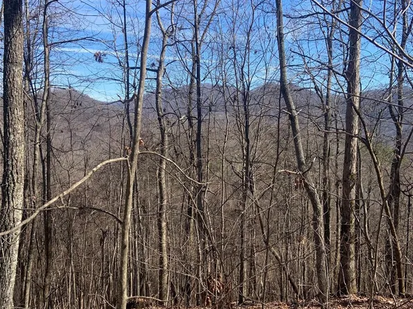 Ashe Branch Vw #66J, Hayesville, NC 28904