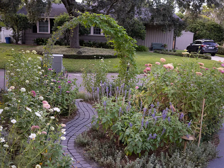 pathway from street to the house