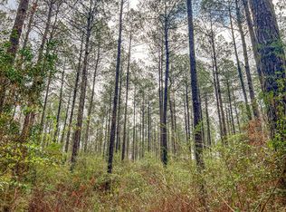 0 Lucas Hollow Rd, Mount Olive, MS 39119