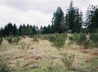 17733 Hafner Ln SW, Rochester, WA 98579