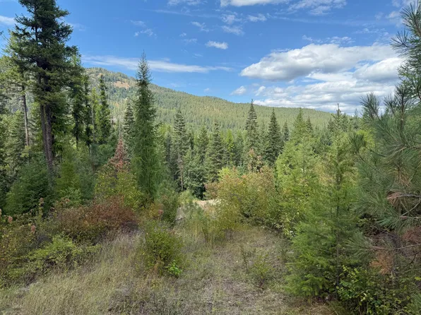 27XX Flowery Trail Rd, Chewelah, WA 99109