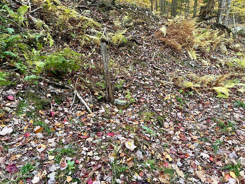 5th image of 75 Carey Road