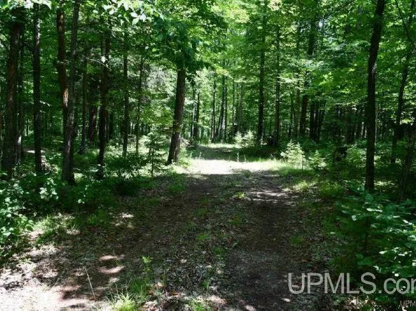 LOT 26 Fordville Rd, Foster City, MI 49834