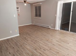 111 S John St #1, Dwight, IL 60420
