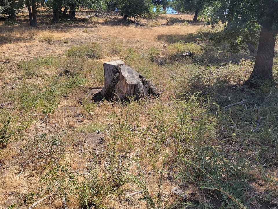2nd image of 29241 Surrey Way Lot 4