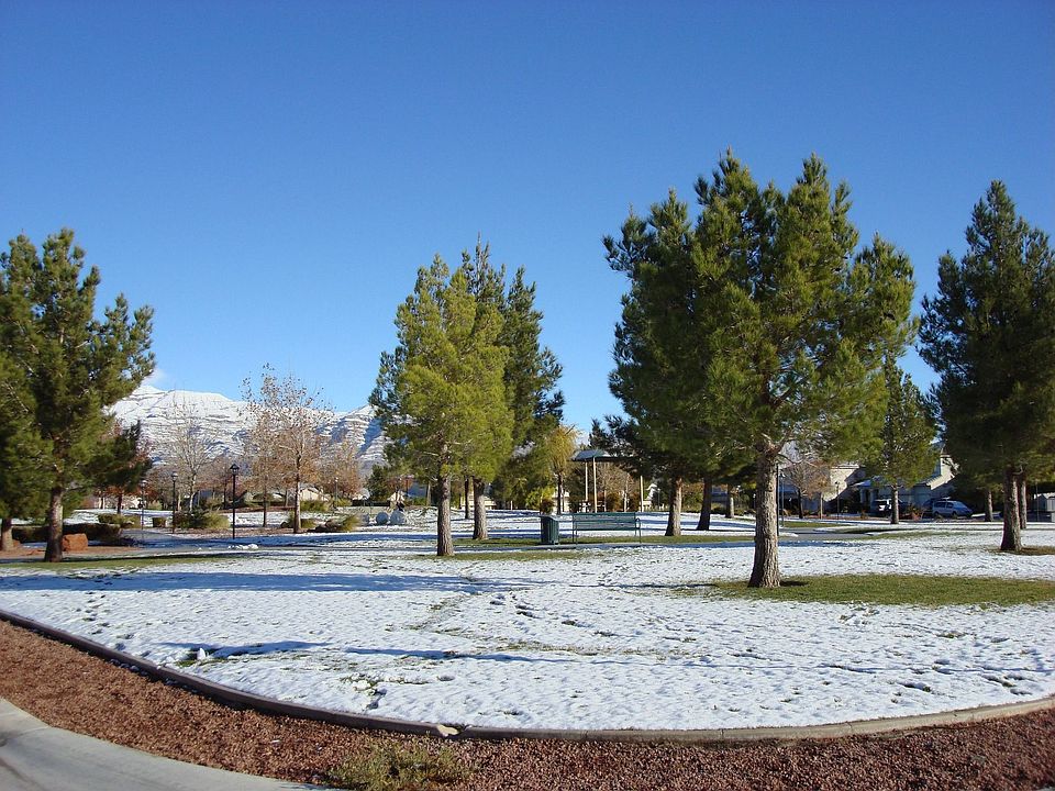 A side view of park.