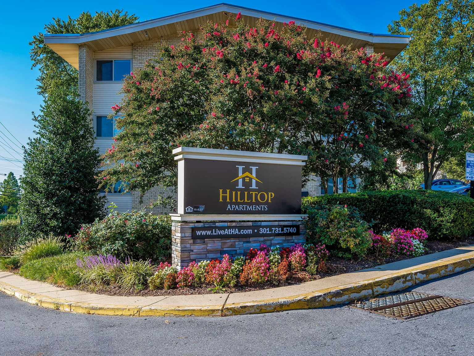 Hilltop Apartments — Photo 1