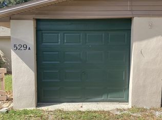 529 Bay Rd UNIT A, Mount Dora, FL 32757