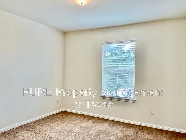 417 Cinnamon Teal Ln — Photo 13
