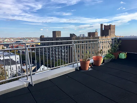 Rented by Fiddler Realty | media 12