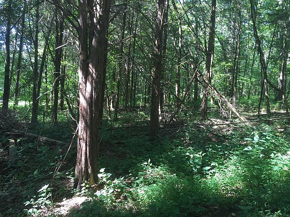 5th image of 1041 Parsons Private Way Lot 5