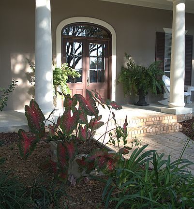 3rd image of 105 Trailwood Ln