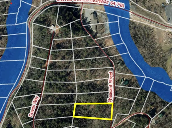 0 Pheasant St, Lake Lure, NC 28746