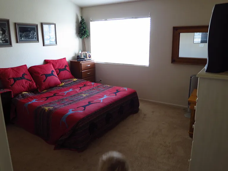 Primary bedroom with vaulted ceiling