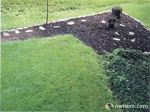 Back Yard Flower Bed
