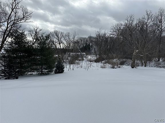 5th image of 102 Petrie Rd