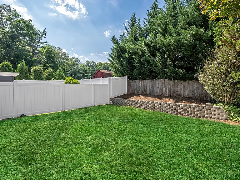 A Great Backyard