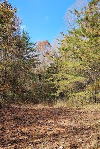 Germantown Rd, Moravian Falls, NC, 28654