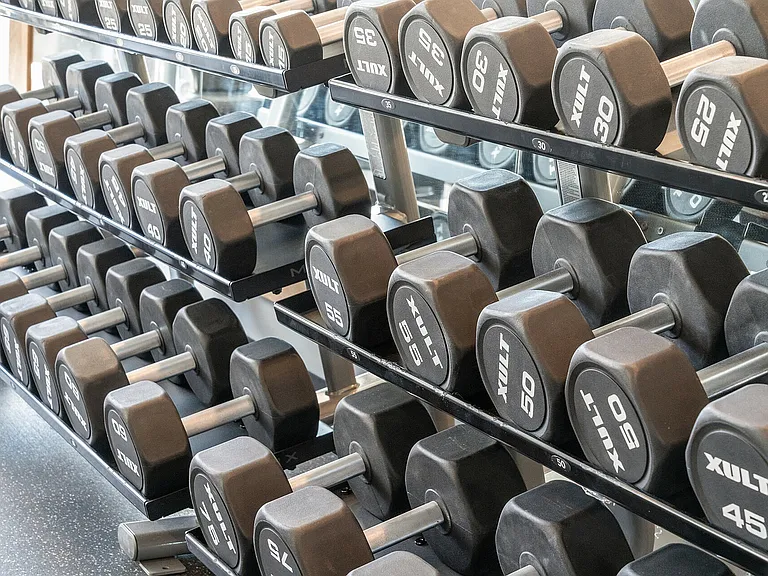 Free Weights