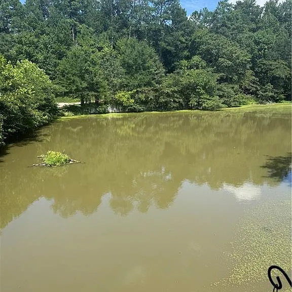 8945 Carroll Manor Dr — Photo 37