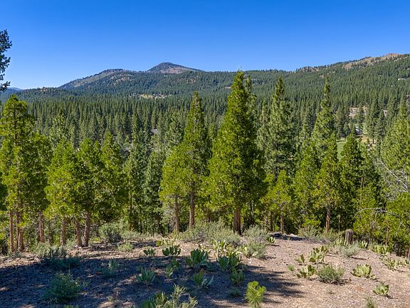 3rd image of 1924 Grizzly Ranch Rd