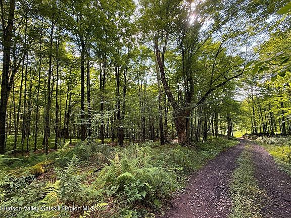 3rd image of Lot 22 Mountain Brook Road